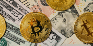 Features of Cryptocurrency Popularization cryptocurrency popularization shown with Bitcoins and dollars