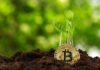 7 Proven Yield Farming Strategies for Sustainable DeFi Returns in 2023  crypto yield farming, shown with bitcoin as a seed germinating green sprout