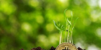 7 Proven Yield Farming Strategies for Sustainable DeFi Returns in 2023 crypto yield farming, shown with bitcoin as a seed germinating green sprout