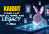 Rabbit Video Chat Reflections and Legacy in 2025 Rabbit Video Chat