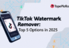 TikTok Watermark Remover: Top 5 Options To Try in 2025 TikTok Watermark Remover