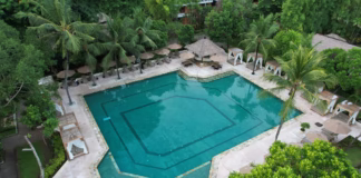 Innovative Fibreglass Pools in Pukekohe: From Smart Lighting to Automated Cleaning Systems a view of swimming pool surrounded by treed