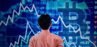 Data Lakes to Trading Bots: Scalable Architectures and Crypto Insights man looking at screen with crypto insights