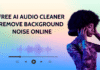 Get Crystal-Clear Voice with Best Online Noise Remover 2025 noise remover graphic