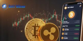BTC Rises Steadily, XRP Strengthens, BAY Miner App Helps Users Earn $19,880 a Day Bay Miner App graphic