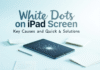 White Dots on iPad Screen: Key Causes and Quick Solutions White Dots on iPad Screen