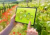 How AI Is Accelerating the Future of Regenerative Agriculture regenerative agriculture on tablet