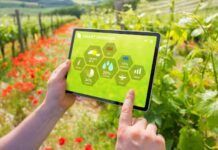 How AI Is Accelerating the Future of Regenerative Agriculture regenerative agriculture on tablet