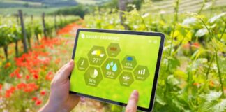 How AI Is Accelerating the Future of Regenerative Agriculture regenerative agriculture on tablet