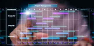 Timeline Maker: The Smart Way to Plan and Present Your Projects project managers use timelines in a smart way