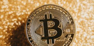 Metaplanet Continues the Corporate Takeover of Bitcoin Metaplanet continues to takeover Bitcoin