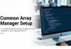 Common Array Manager Setup for Efficient Storage Management Common Array Manager