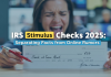 IRS Stimulus Checks 2025: Separating Facts from Online Rumors IRS Stimulus Checks 2025