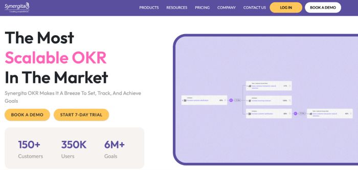 OKR software