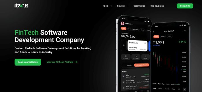 One of the fintech companies in the USA