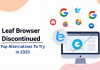 Leaf Browser Discontinued: Top Alternatives To Try in 2025 Leaf Browser