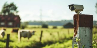 Farm Security Cameras: Keep Your Barns, Animals, and Tools Safe farm security