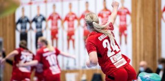 Essential Features to Look for in a Live Sports Data API live sports