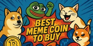 Best Meme Coin to Buy Now: Bonk Beats Shiba Inu, Pengu, but Remittix Wins meme coin
