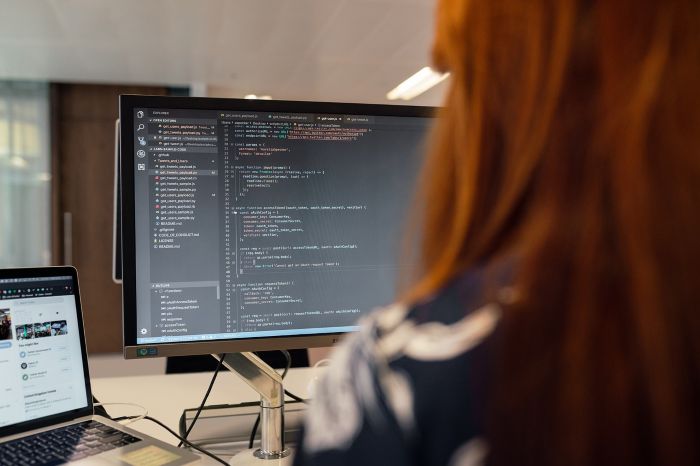 outsourced software