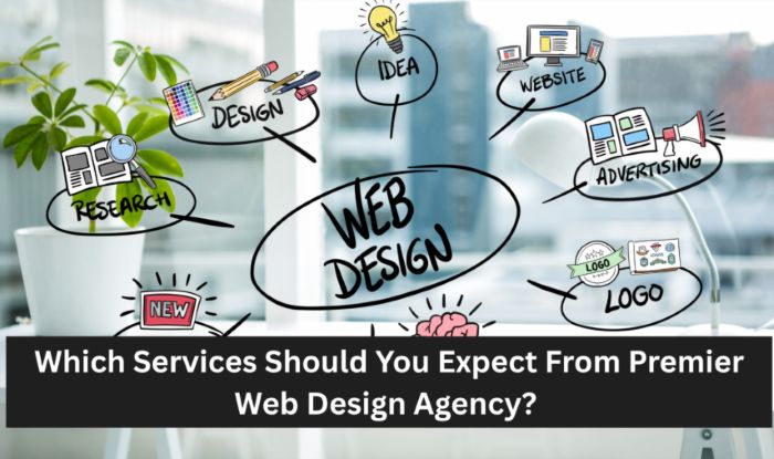 web design agency