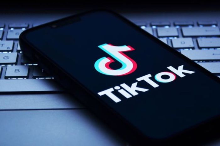 TikTok Bans