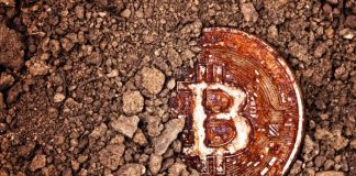 Didn’t Grab Bitcoin Early? Don’t Miss the Next Chance with Anchor Mining bitcoin early