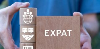 Living As an Expat Professional: Building A Global Career expat professional