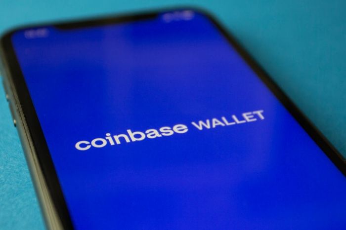 first crypto wallet