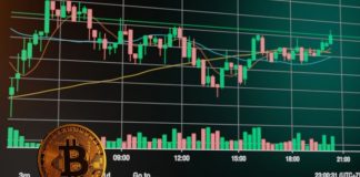 Maker vs Taker Fees: What Every Beginner Should Know When Trading Crypto taker fees