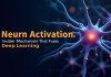 How Neuron Activation Fuels Deep Learning Mechanism Neuron Activation
