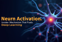 Neuron Activation: Insider Mechanism That Fuels Deep Learning Neuron Activation