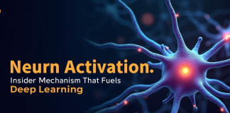 Neuron Activation: Insider Mechanism That Fuels Deep Learning Neuron Activation
