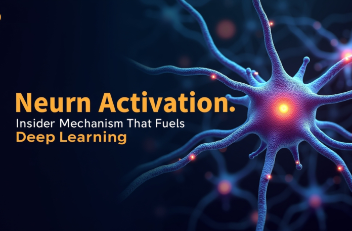 Neuron Activation Neuron Activation