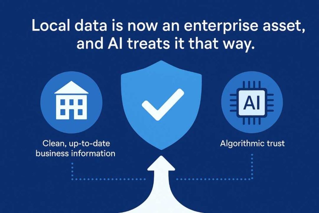 AI-Driven Local Data Asset Infographic