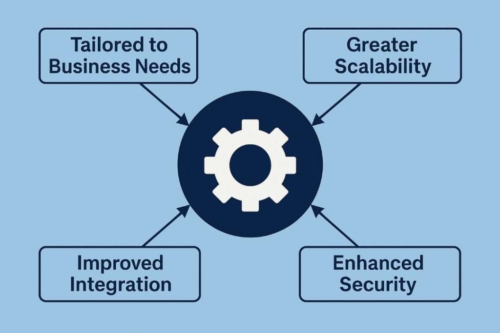 Custom ERP Development Benefits Infographic