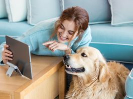 AI-Powered Pet Health Monitoring Apps AI pet health apps