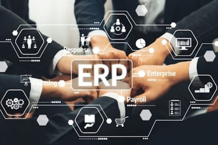 EOR platforms Digital payroll visualization
