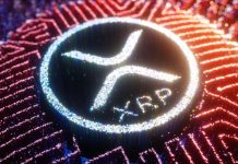What Is XRP? A Complete Guide for Beginners and Investors XRP cryptocurrency
