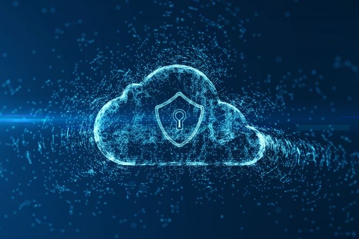 browser-level security