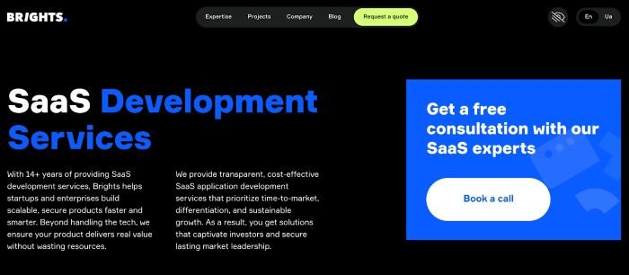 Top SaaS Development Companies
