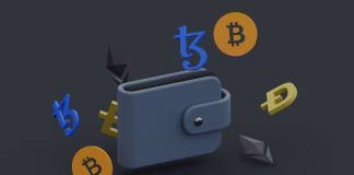 The Shift to Sovereignty: Why Fintechs Are Building Custom Crypto Payment Gateways in 2026 a wallet with a bitcoin besides it