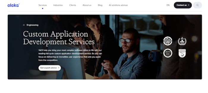 custom software developers