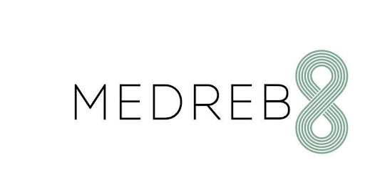 healthcare data analytics company medreb8