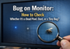 Bug on Monitor: How to Check Whether It’s a Dead Pixel, Dust, or a Tiny Bug? Bug on Monitor