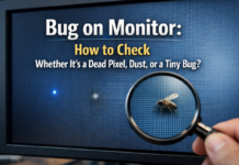 Bug on Monitor: How to Check Whether It’s a Dead Pixel, Dust, or a Tiny Bug? Bug on Monitor