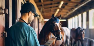 The Digital Shift in Horse Stable Operations Horse Stable Operations