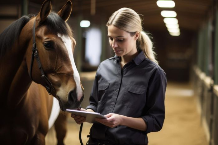 Horse Stable Operations