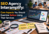 SEO Agency Interamplify: Core Aspects You Should Examine Before Using Their Services SEO Agency Interamplify