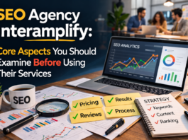 SEO Agency Interamplify: Core Aspects You Should Examine Before Using Their Services SEO Agency Interamplify